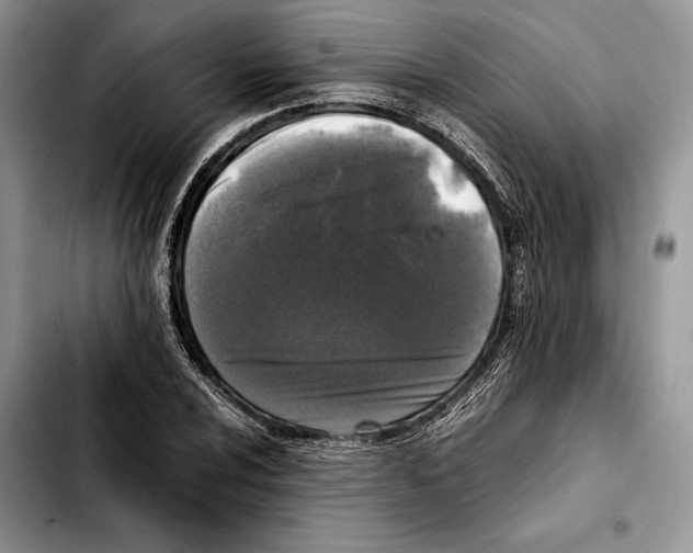 X0000103431024200810101037