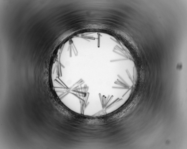 X0000103431025200810101037