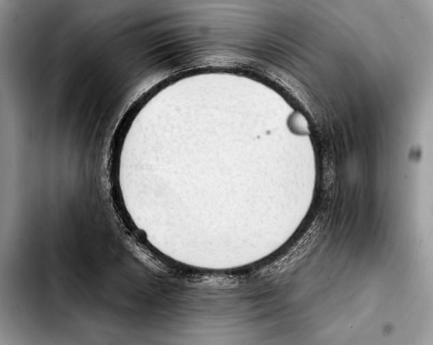 X0000103431026200810101037