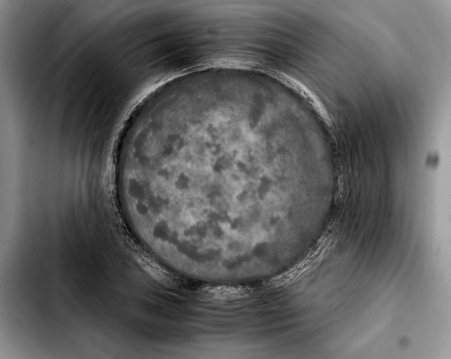 X0000103431027200810101037