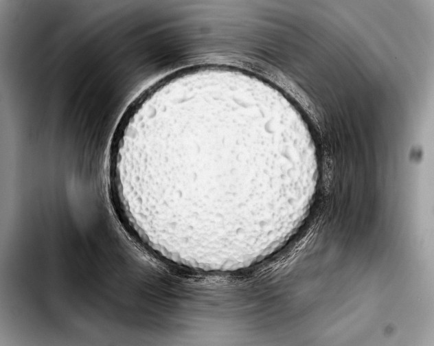 X0000103431028200810101037