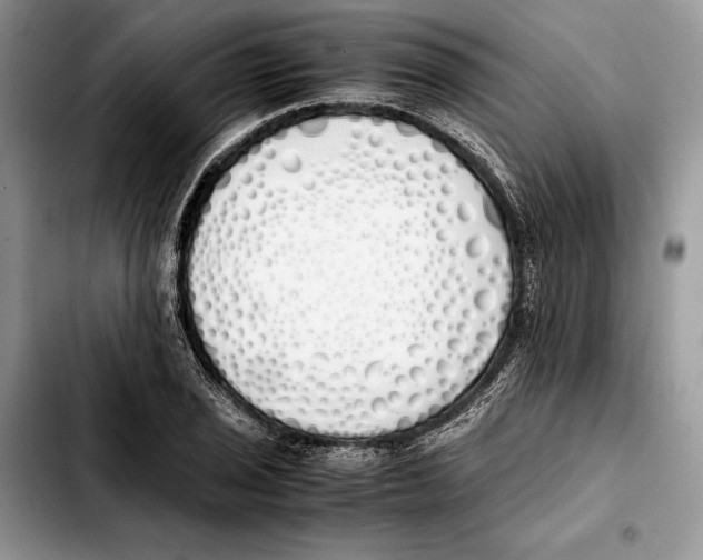 X0000103431029200810101037