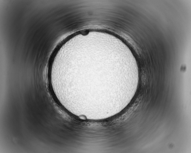 X0000103431030200810101037
