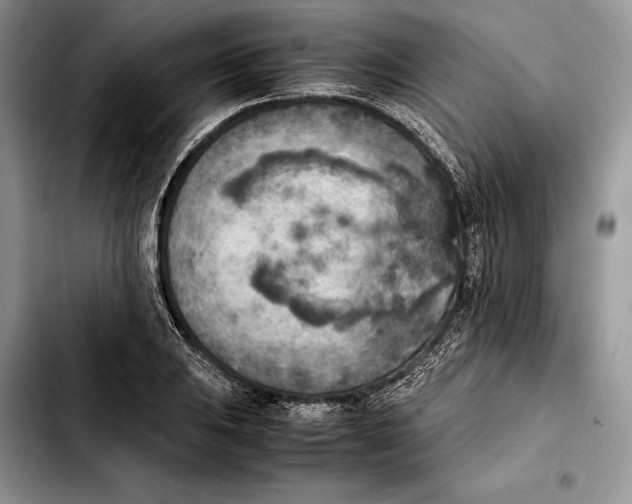 X0000103431031200810101037