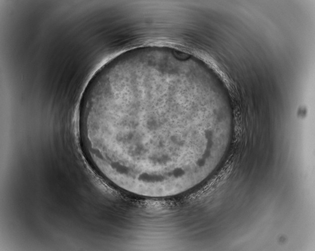 X0000103431032200810101037