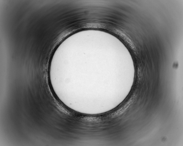 X0000103431033200810101038