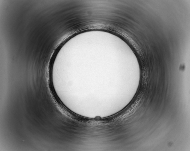 X0000103431034200810101038
