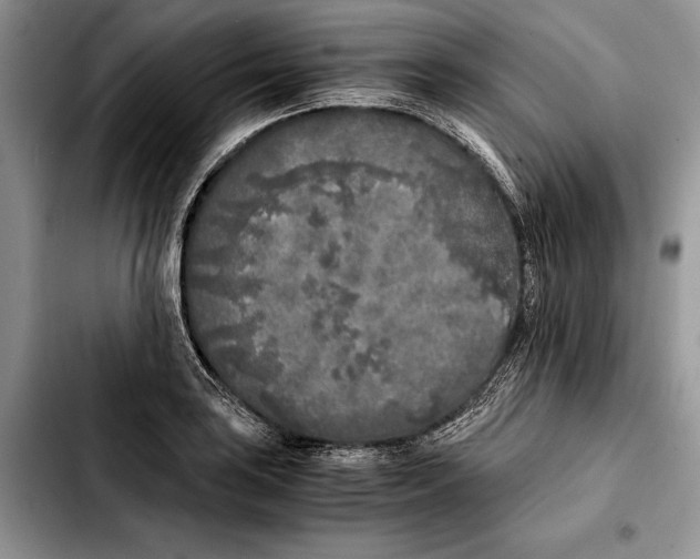 X0000103431035200810101038