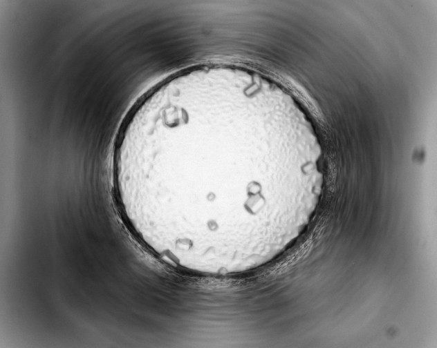 X0000103431036200810101038