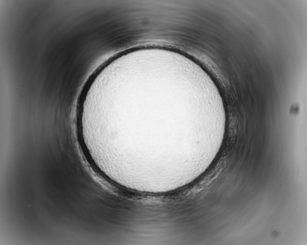 X0000103431038200810101038