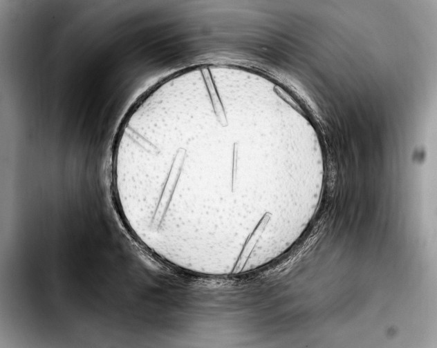 X0000103431040200810101038