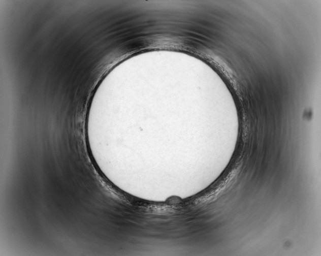 X0000103431041200810101038