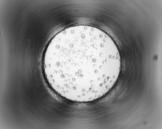 X0000103431042200810101038