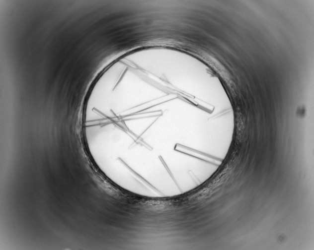 X0000103431044200810101038