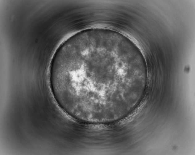 X0000103431045200810101038