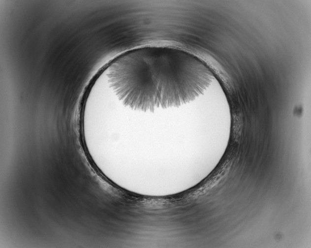 X0000103431046200810101038