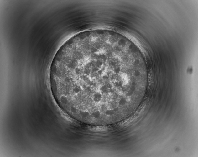 X0000103431047200810101038