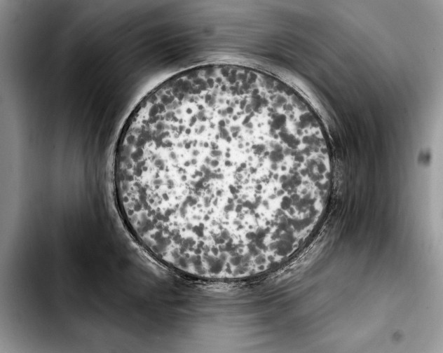 X0000103431048200810101038
