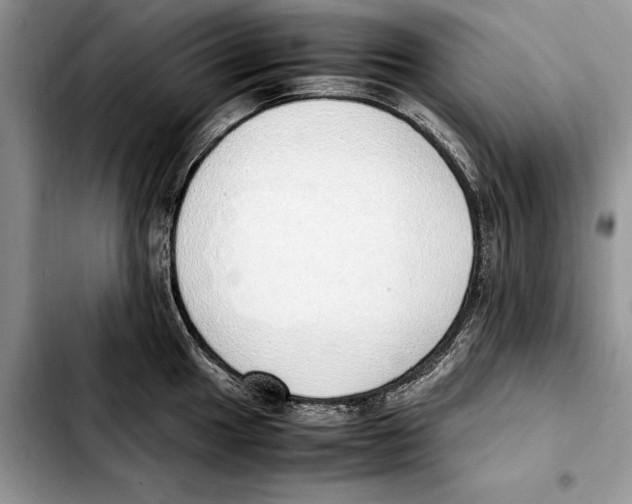 X0000103431049200810101038
