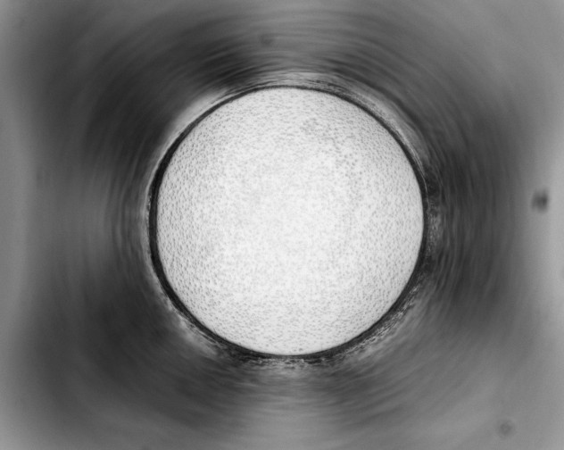 X0000103431050200810101038