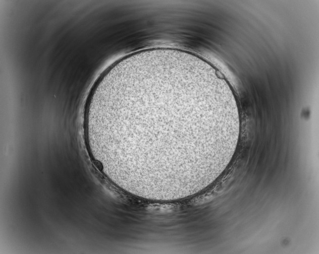 X0000103431051200810101038