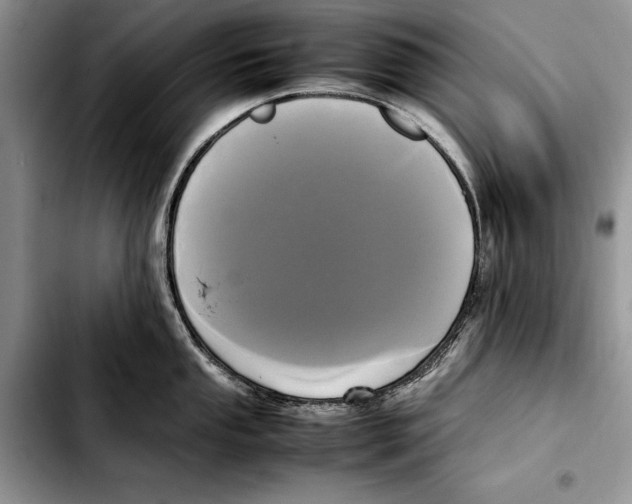 X0000103431053200810101038