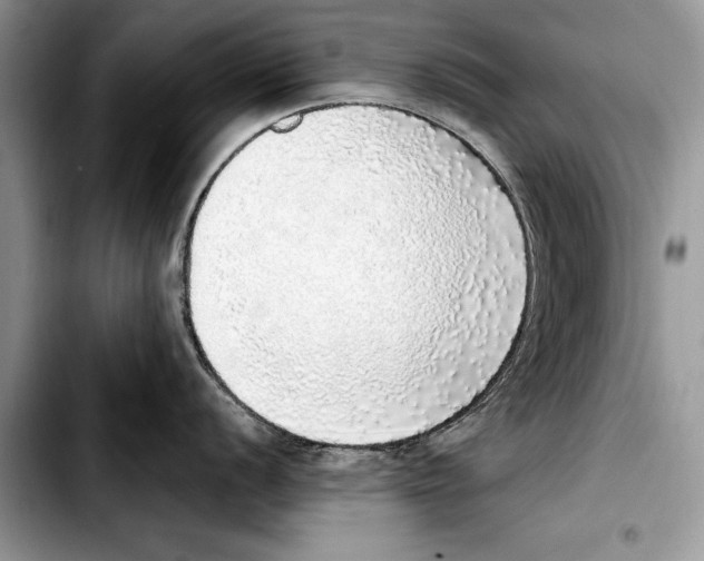 X0000103431056200810101038