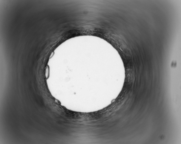 X0000103431057200810101037