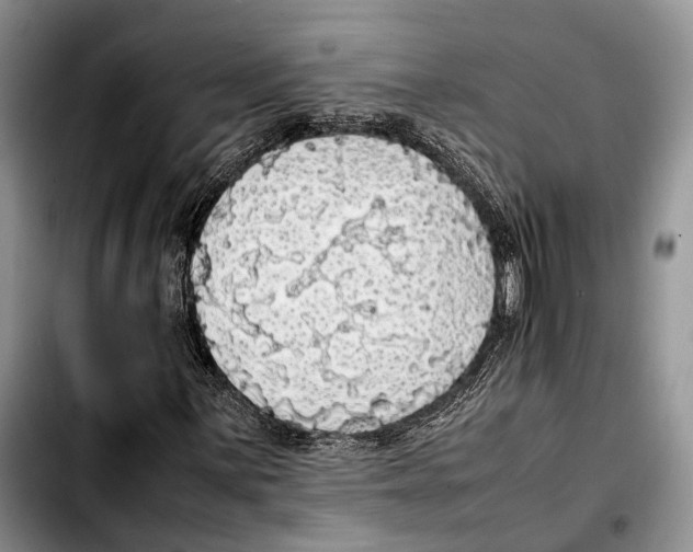 X0000103431059200810101037