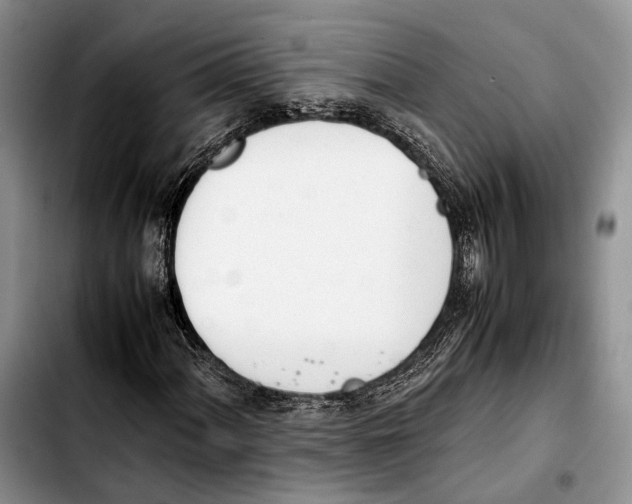 X0000103431060200810101037