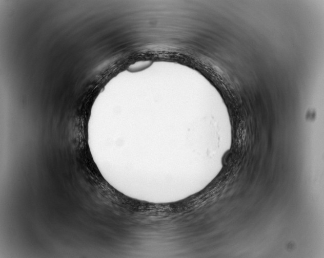 X0000103431062200810101037
