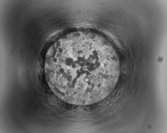 X0000103431063200810101037