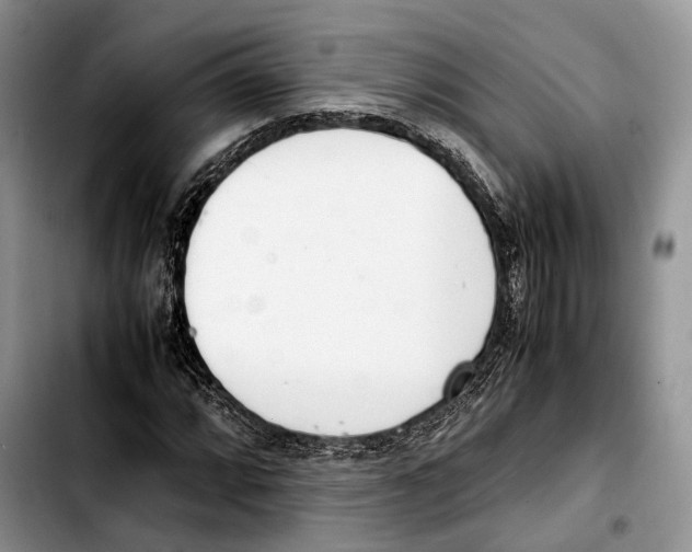X0000103431064200810101037