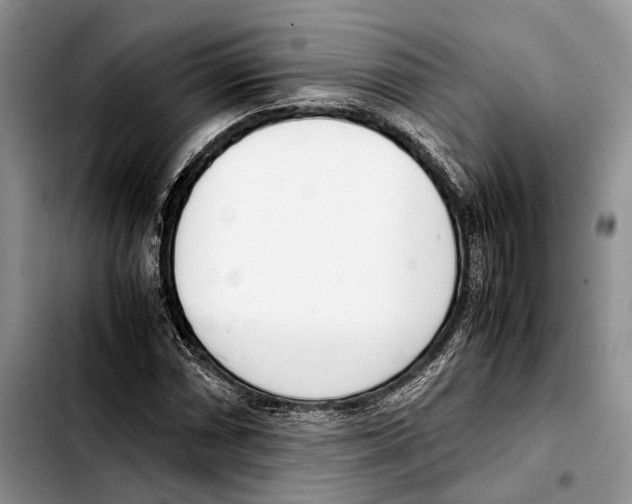 X0000103431066200810101037