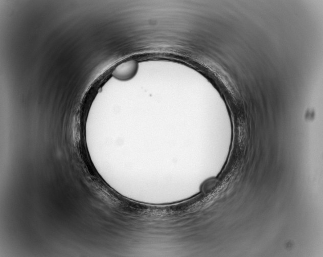 X0000103431069200810101037