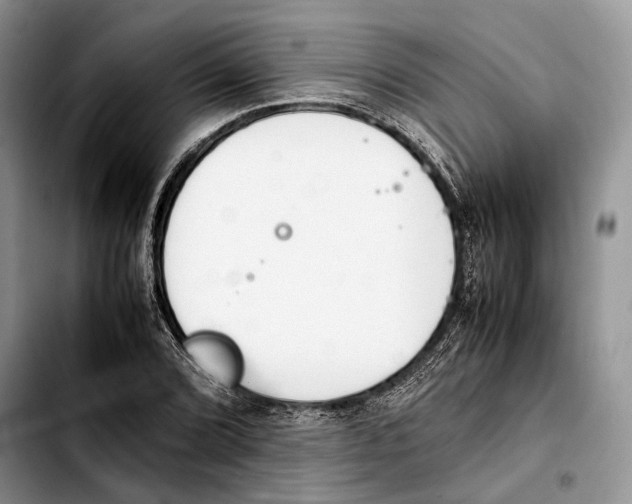 X0000103431072200810101037