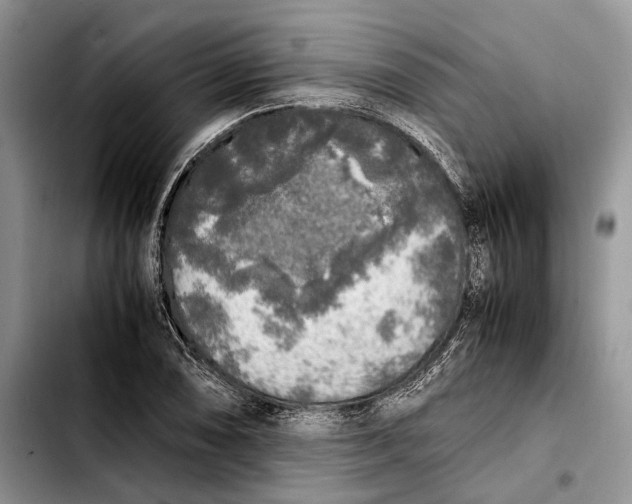 X0000103431074200810101037
