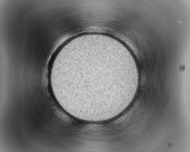 X0000103431075200810101037