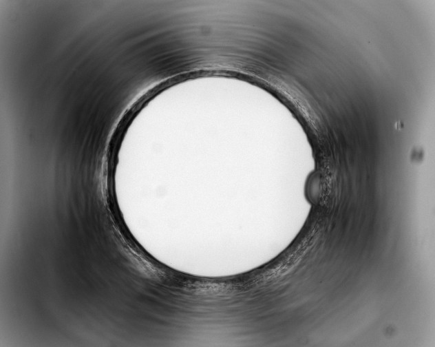 X0000103431076200810101037