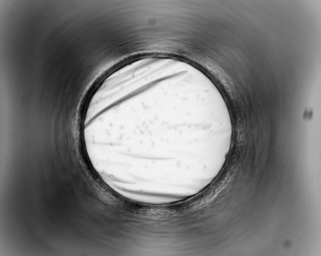 X0000103431077200810101037