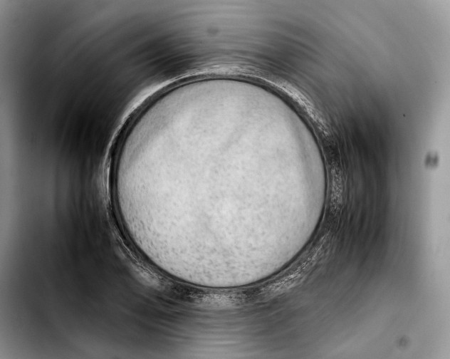X0000103431078200810101037