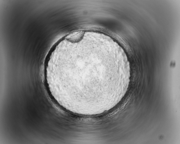 X0000103431079200810101037