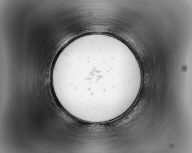 X0000103431081200810101037