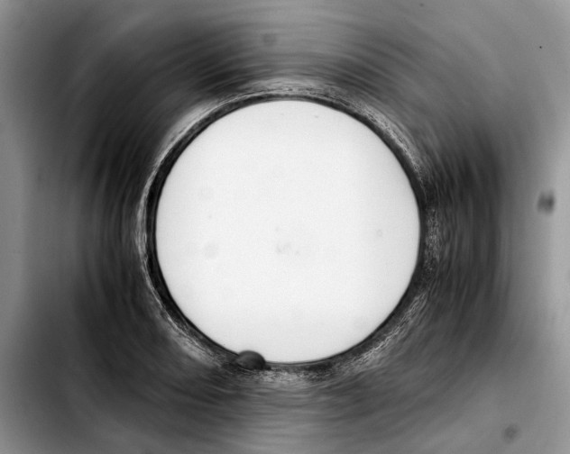 X0000103431082200810101037