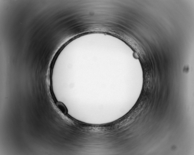 X0000103431084200810101037