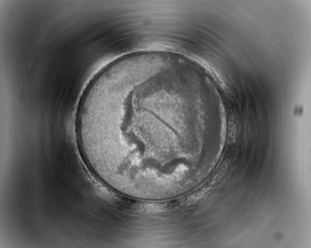 X0000103431086200810101037