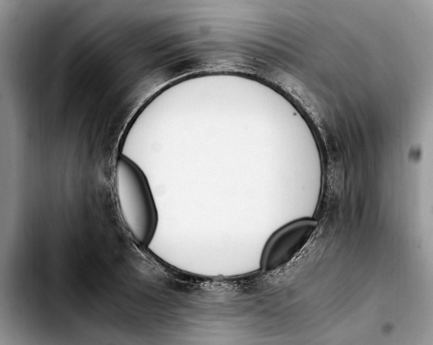 X0000103431089200810101037