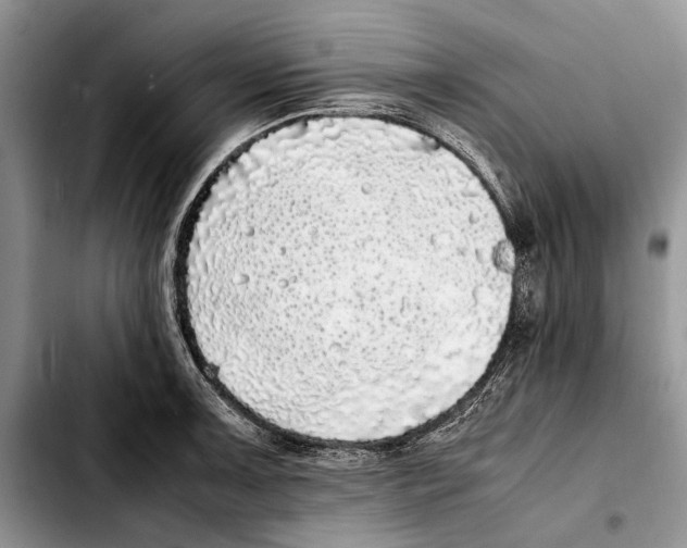 X0000103431091200810101037