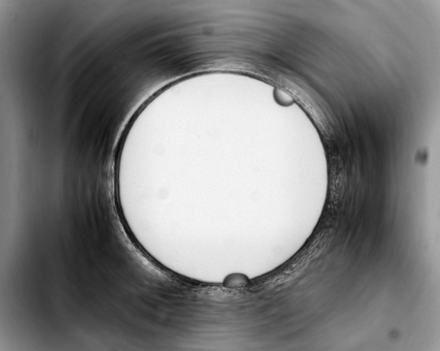 X0000103431092200810101037