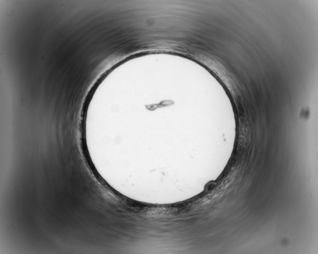 X0000103431093200810101037
